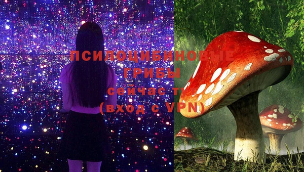 стафф Бронницы