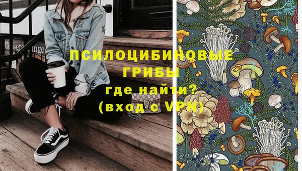 mdma Бородино